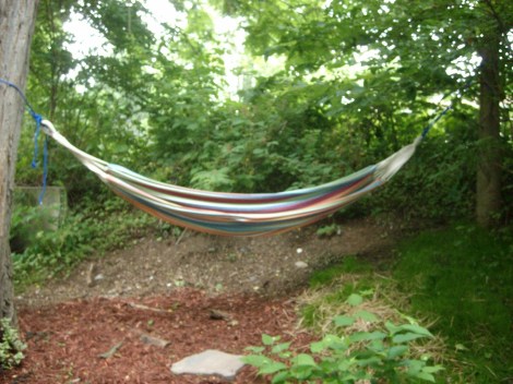 hammock hammock