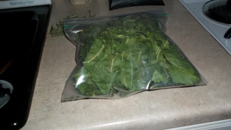 hdehydrating foodydrating food