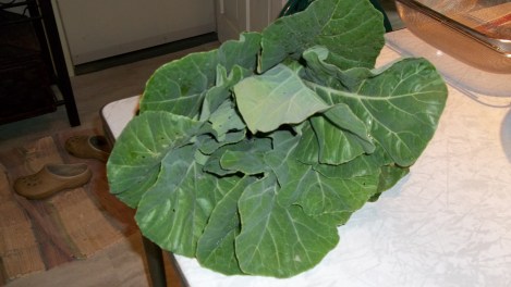 collard greens