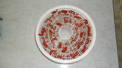 dehydrating tomatoes