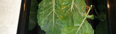 collards