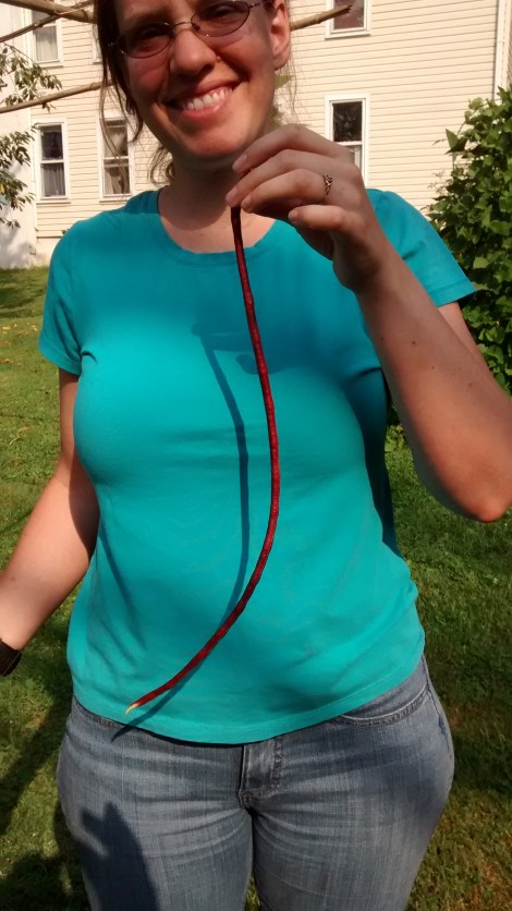 Thai yard long beans