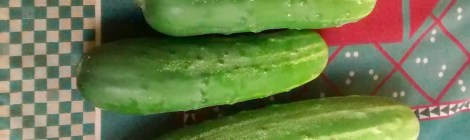 cucumbers
