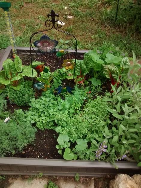 herb bed
