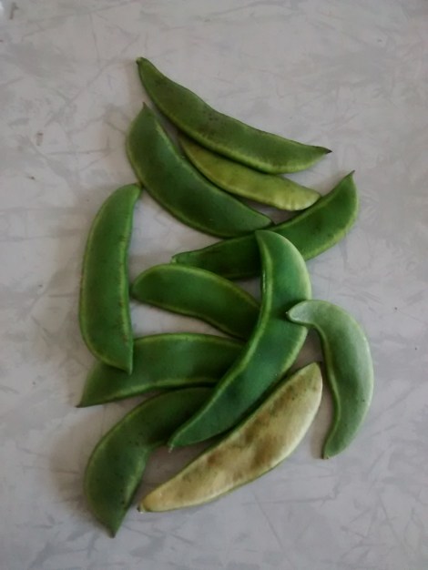 Lima beans