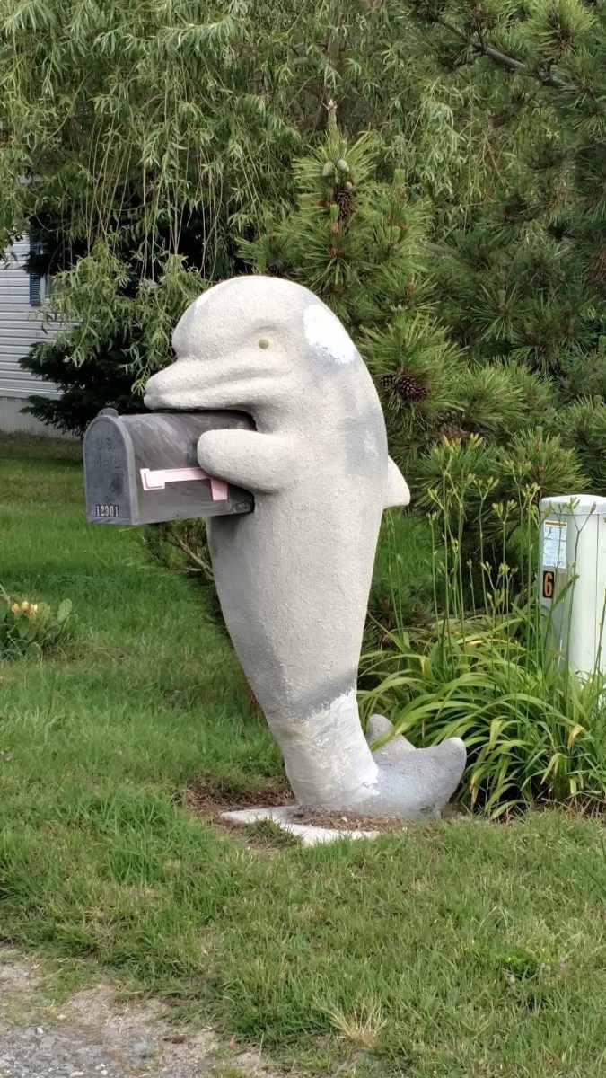 mail box