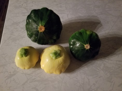 summer squash