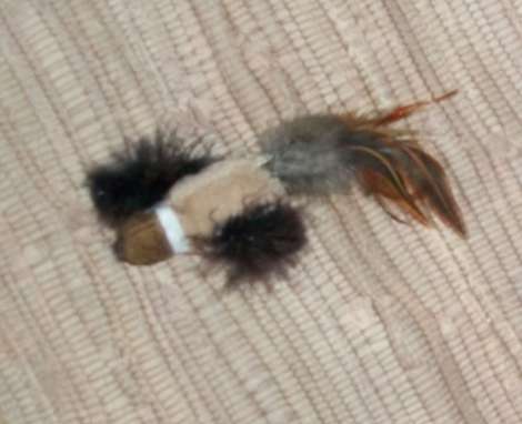 cat toy